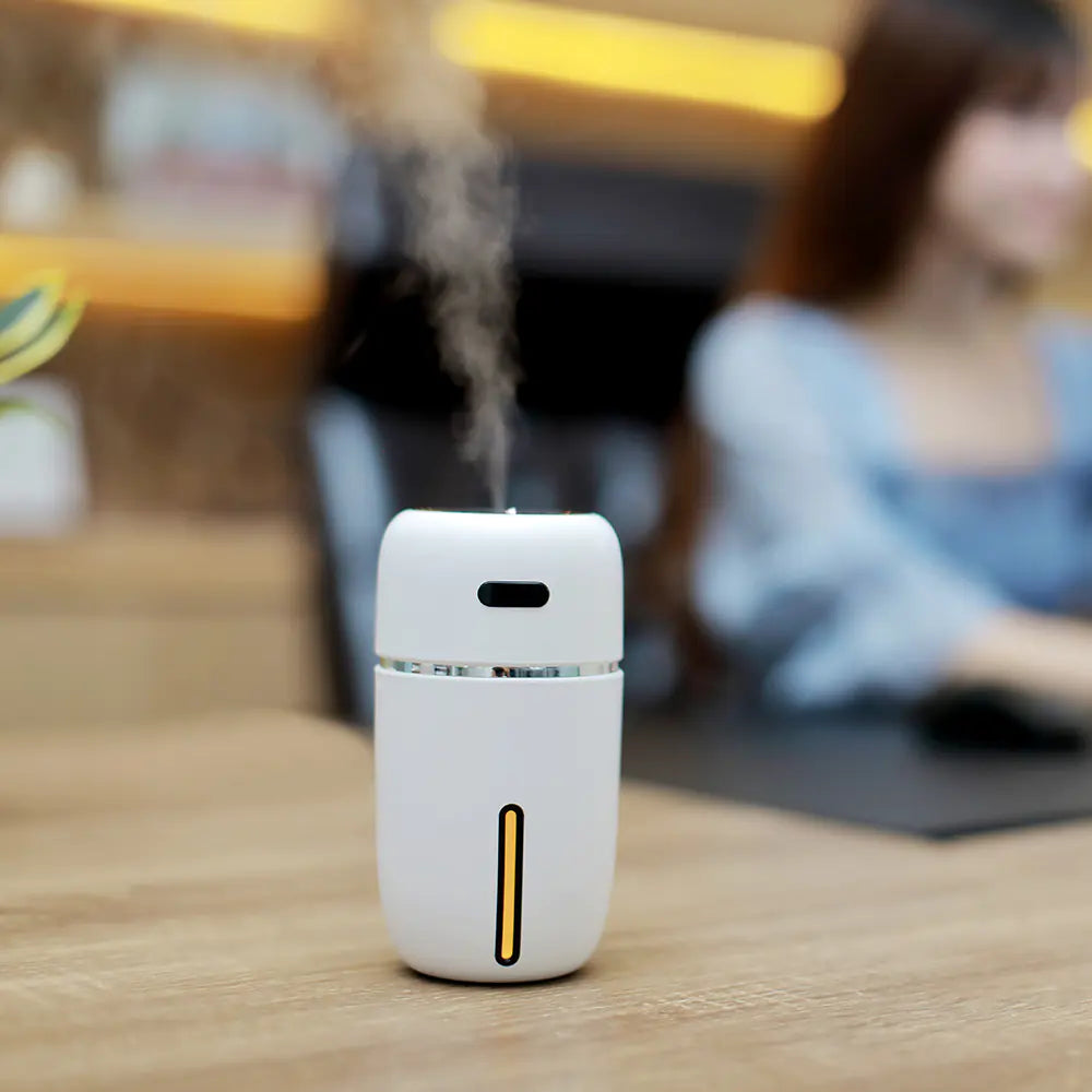 Portable Nano Spray Humidifier for Home and Car
